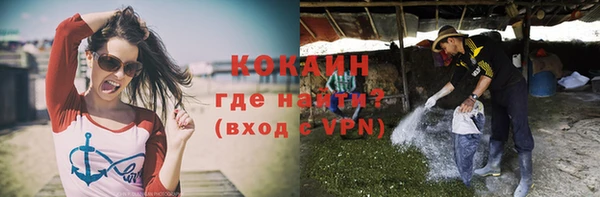 эйфоретик Горняк