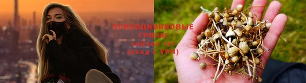 а пвп мука Горнозаводск